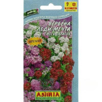 Вербена Леди Мечта Аэлита Ц