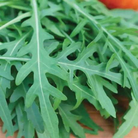 Рукола Покер НК Ц