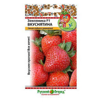 Земляника Вкуснятина садовая (Вкуснятина) НК Ц
