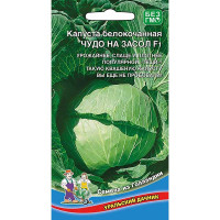 Капуста Чудо на Засол Марс Ц