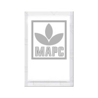 Кабачок Цукеша Белый Марс Б