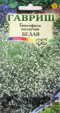 Гипсофила Белая ползучая Гавриш Ц