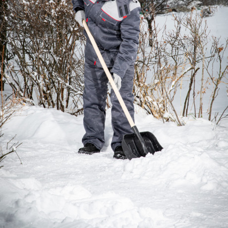 Лопата для уборки снега пластиковая, 360 х 405 х 1550 мм, деревянный черенок 1 сорт, Сибртех