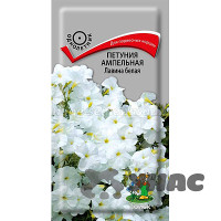 Петуния Лавина белая Поиск Ц