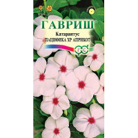 Катарантус Пацифика Априкот Гавриш Ц