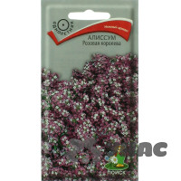 Алиссум Розовая королева Поиск Ц