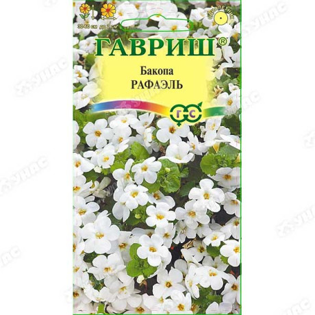 Бакопа Рафаэль Гавриш Ц