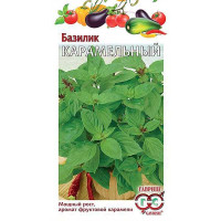 Базилик Карамельный Гавриш Ц