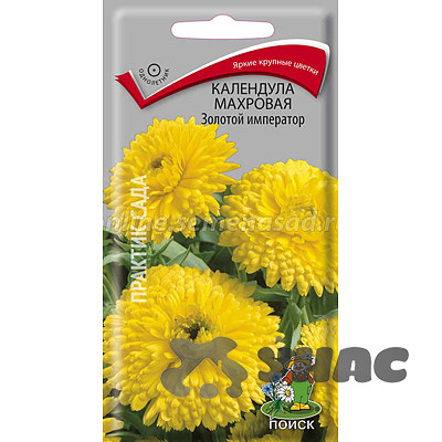 Календула Золотой император Поиск Ц