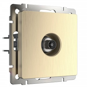 Werkel мех. роз. TV СУ 1 мест. оконечн. (шампань рифленый)  W1183010 a051427