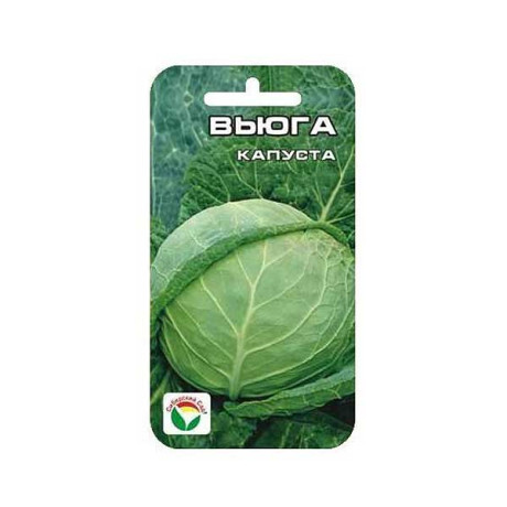 Капуста Вьюга СибСад