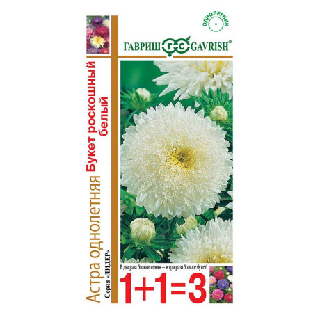 Астра Букет Роскошный белый 1+1 Гавриш Ц