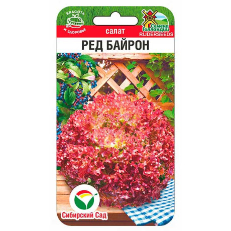 Салат Ред Байрон СибСад