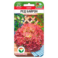 Салат Ред Байрон СибСад