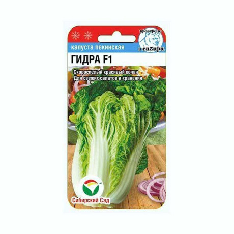 Капуста пекинская Гидра СибСад