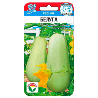 Кабачок Белуга СибСад Ц
