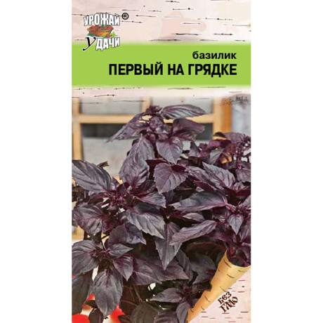 Семена Базилик Первый на грядке Урожай у дачи Ц