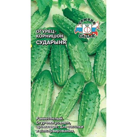 Огурец Сударыня Седек Ц /10 шт
