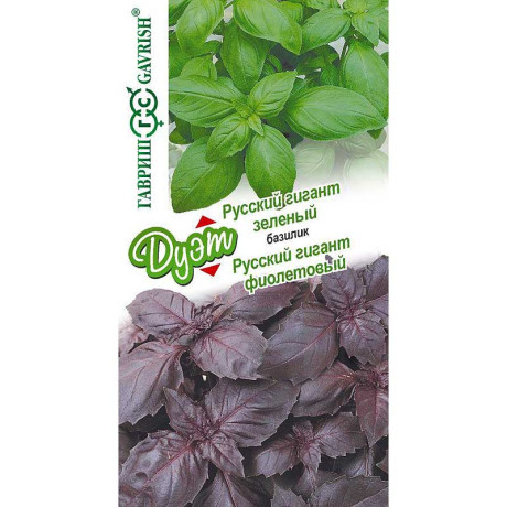 Базилик ДУЭТ Русский гигант зеленый+фиолетовы Гавриш Ц