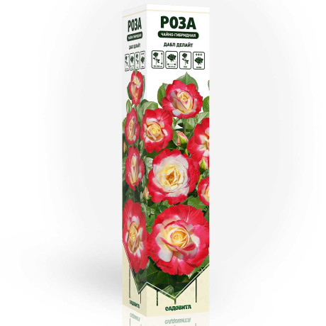 Роза чайно-гибридная Дабл Делайт Садовита
