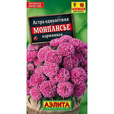 Астра Монпансье карминная Аэлита Ц