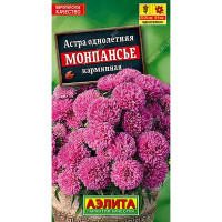 Астра Монпансье карминная Аэлита Ц