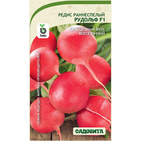 Редис Рудольф F1 1гр Bejo/Садовита Ц