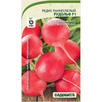 Редис Рудольф F1 1гр Bejo/Садовита Ц