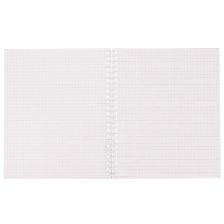 Тетрадь общая на спирали 80л. в клетку, обл.мел. картон, БЕЛЫЕ ЛИСТЫ, микс