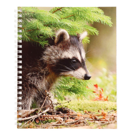 Тетрадь общая на спирали 80л. в клетку, обл.мел. картон, БЕЛЫЕ ЛИСТЫ, микс