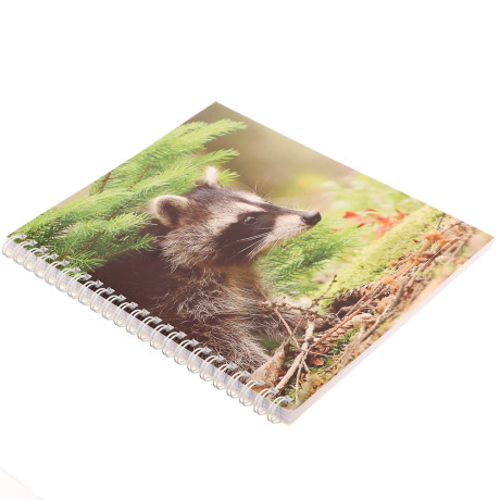 Тетрадь общая на спирали 80л. в клетку, обл.мел. картон, БЕЛЫЕ ЛИСТЫ, микс