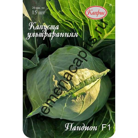 Капуста Пандион Каприс