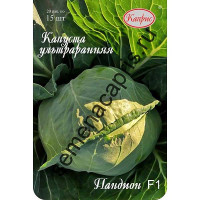 Капуста Пандион Каприс