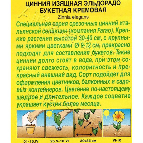 Семена Циния Эльдорадо букетная кремовая Аэлита Ц х10