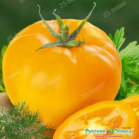 Семена Томат Илья Муромец Русский Огород