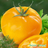 Семена Томат Илья Муромец Русский Огород