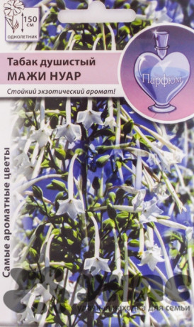Табак душистый Мажи Нуар НК Ц