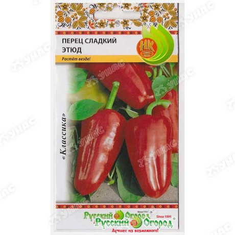 Перец Этюд НК Ц