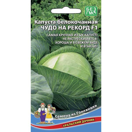 Капуста Чудо на Рекорд Марс Ц