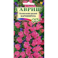 Колокольчик Карминроза средний Гавриш Ц