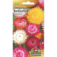 Гелихризум Византия Удач сем Гавриш Ц