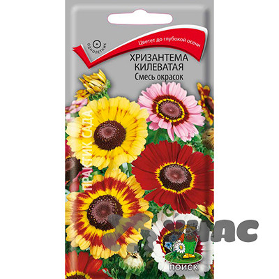 Хризантема Килеватая смесь окрасок Поиск Ц