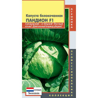 Капуста Пандион Плазма Ц