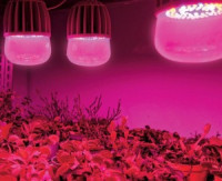 Uniel фито лампа св/д для растен M80 E27 20W 21.5мкмоль/с кр-синий 146x80 IP54 LED-M80-20W/SP/E27/CL