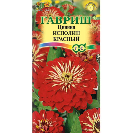 Циния Исполин красный Гавриш Ц