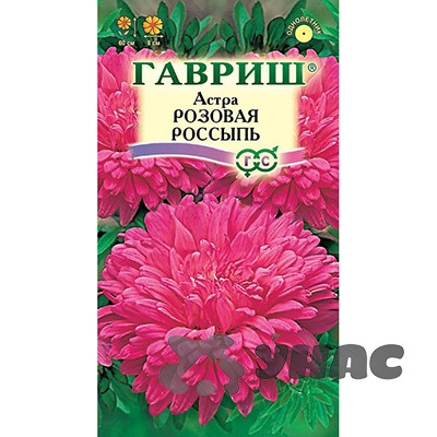 Астра Розовая россыпь Гавриш Ц