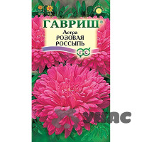 Астра Розовая россыпь Гавриш Ц