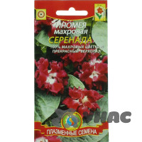 Ипомея махр. Серенада Плазма Ц