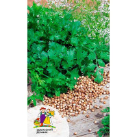 Семена Кориандр Тётушка марико Марс Ц