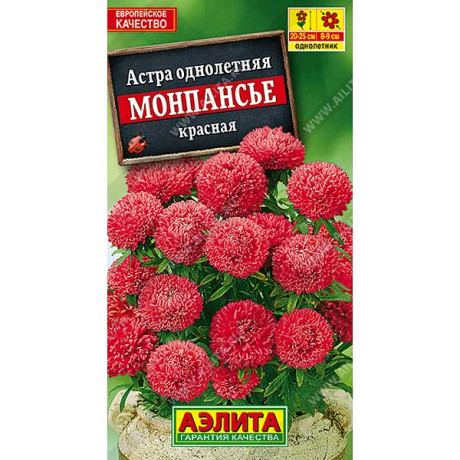 Астра Монпансье красная Аэлита Ц